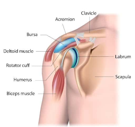 Labral Tear Treatment Chillicothe, OH